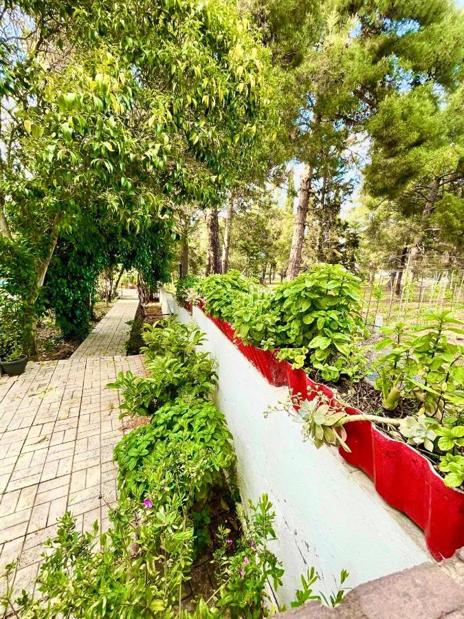 Peraía Villavictoria Marias View Pool Apartment מראה חיצוני תמונה